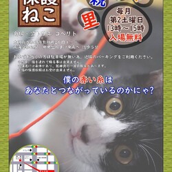 第11回　保護ねこ里親会にゃ