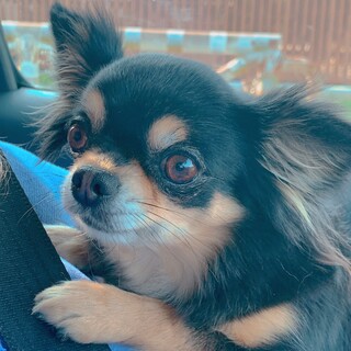 ☆❣️家族が決まりました❣️☆