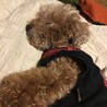 の写真