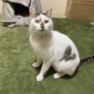 ハート模様の男の子♪