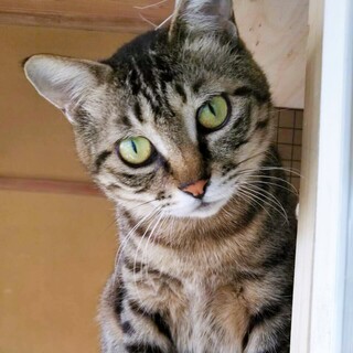 4/4西千葉ෆ⃛ユルBODYの美女ෆ⃛のんちゃん