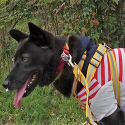 「おはなにおはな」サムネイル2