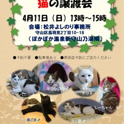 保護猫の譲渡会in守山