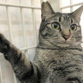 シャイで優しい、かまってちゃんな男の子「リツくん」