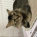 賢く穏やかな子