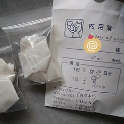 「デルちゃん診察受けました」サムネイル2