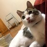 ひきぎん