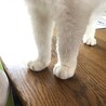  さん