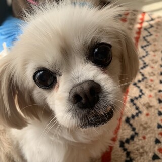 みなべ　穏やかでフレンドリーです