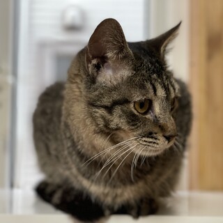 抱っこ大好きな甘えん坊♡