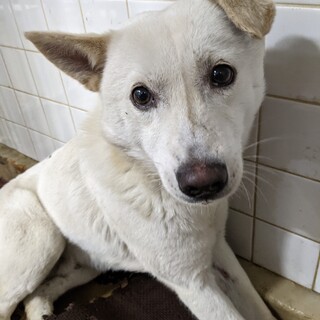 時間がありません