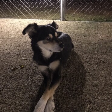 足長く見えるでしょ❗️