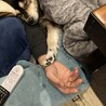 仲良し