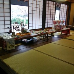 第１５回保護猫譲渡会in山口県 サムネイル2