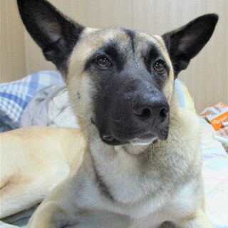 とっても甘えん坊な1歳6ヶ月の男の子