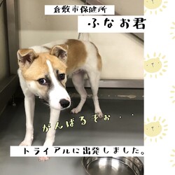 「2021年4月1日新年度の倉敷から→全頭譲渡決定！」サムネイル2