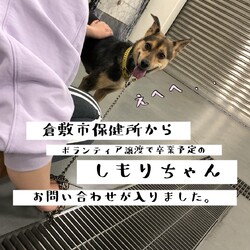 「2021年4月1日新年度の倉敷から→全頭譲渡決定！」サムネイル3