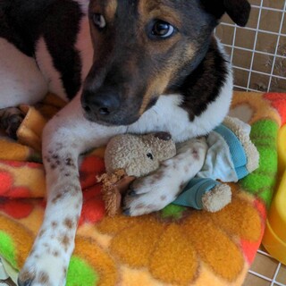 穏やかなだいちくん