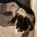 長い間ありがとうございました。
