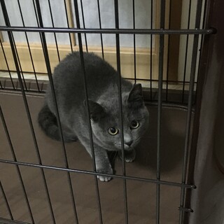 人馴れしているかわいい子