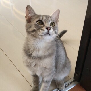 生後約半年の女の子