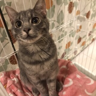 生後約半年の男の子