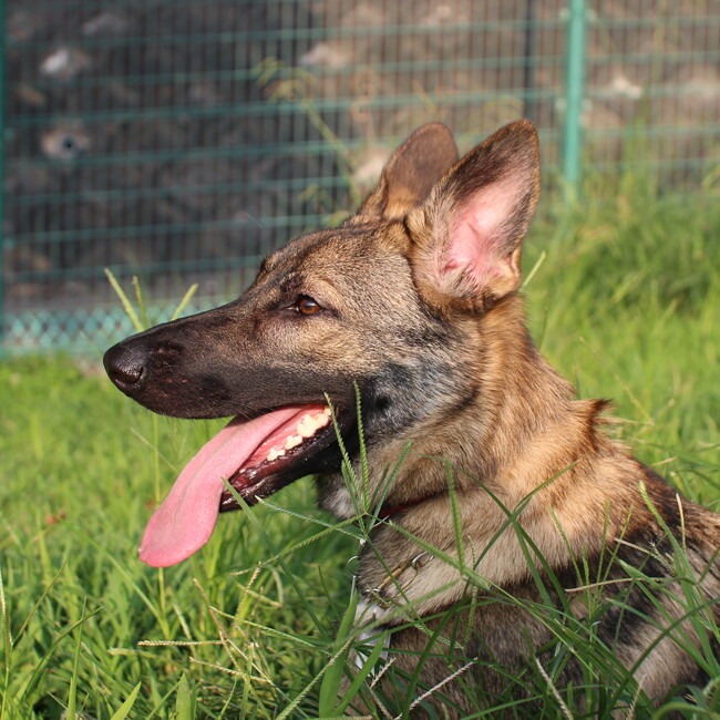 kuroinyannyanのカバー写真