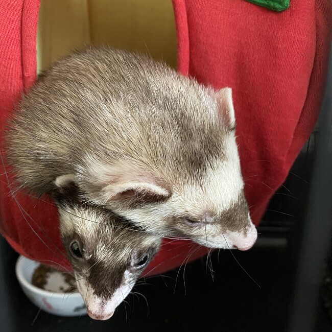 れとるのカバー写真