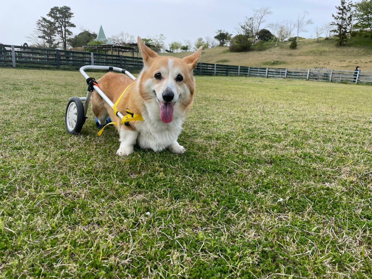 まり