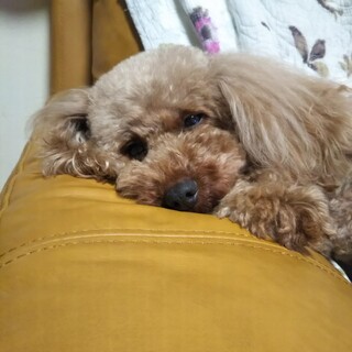 素敵なご縁を頂きました。