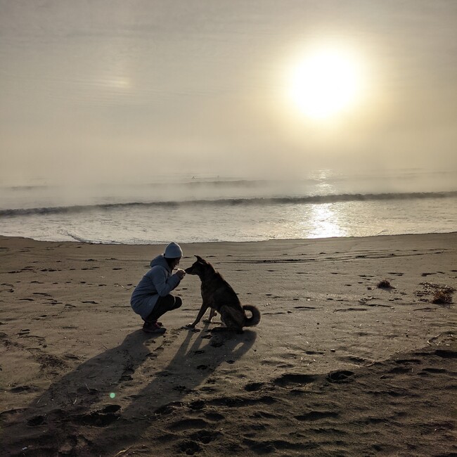 ハッチハッチのカバー写真