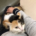 パール、実は甘えたさんです