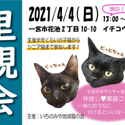愛知県一宮市４／４譲渡会