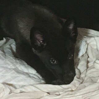 トライアル決定ほんとにかわいい性格してるんです