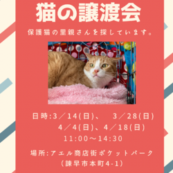 譲渡会 × 長崎県」に該当するイベント :: ペットのおうち【月間利用者 