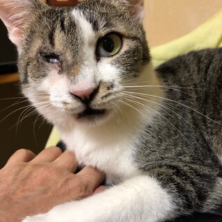 ちっちゃな女の子「星」ちゃん♡