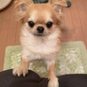 1歳半