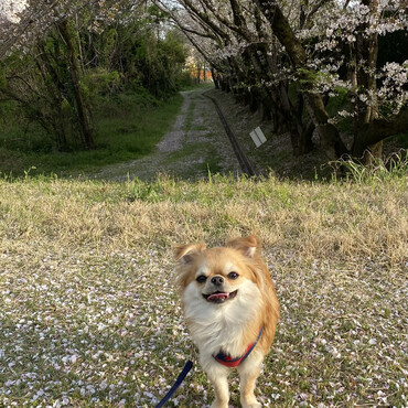 の写真