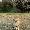の写真