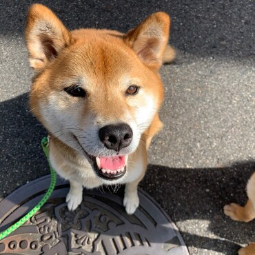 の写真