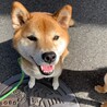 の写真