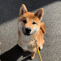 まる