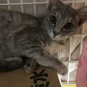 可愛いサリーちゃん