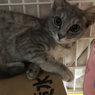 可愛いサリーちゃん