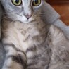 可愛いサリーちゃん サムネイル2