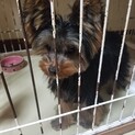 応募者様、多数のため