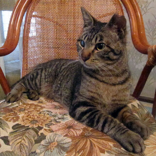 ヤンチャ坊主のコジロウくん★