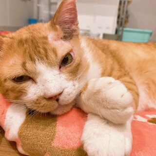 逸材過ぎるジョーくん！！！