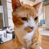 逸材過ぎるジョーくん！！！ サムネイル3