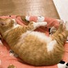 逸材過ぎるジョーくん！！！ サムネイル5